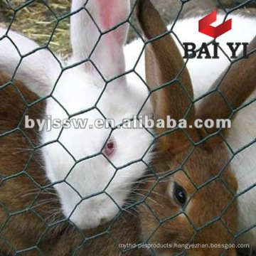 high quality hexagonal wire netting/rabbit netting/poultry wire netting